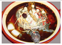 SEOUL JUNG – Hương vị cuộc sống mới, Buffet – Fast food, Ẩm thực, 