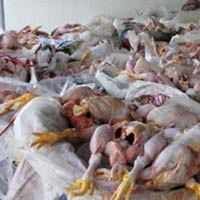 Thêm nhà hàng đãi khách bằng thịt thối