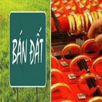 Sài Gòn: Cuộc chiến vàng - đất