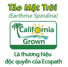 Cách giảm cân an toàn mà không tốn sức - 1