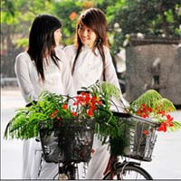 Lắng nghe và cảm nhận: Phượng hồng