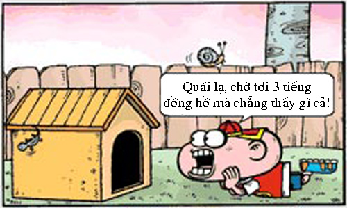 Chuyện con gà khỏa thân - 3
