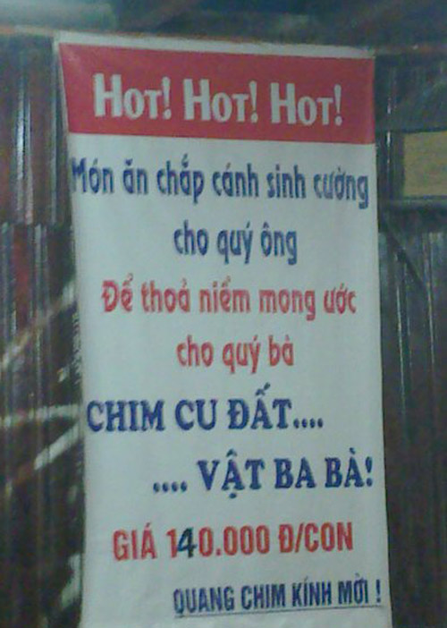 Những ảnh độc đáo chỉ có ở Việt Nam (54) - 4