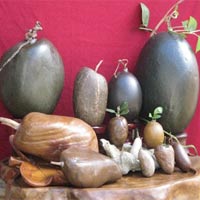 Bộ sưu tập thạch quả và sinh vật lạ