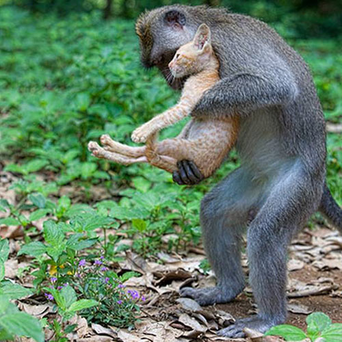 Cười vỡ bụng với tranh vui (17), Cười 24H, tranh vui, anh vui, tranh dep, anh dep, truyen cuoi, tho vui, bao, hoi quan cuoi, cuoi 24h