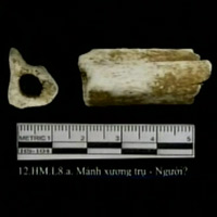Lại phát hiện xương người tiền sử ở Ninh Bình