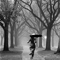Lắng nghe và cảm nhận: When the love falls
