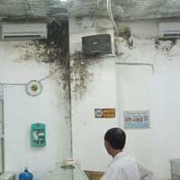 "Chợ thuốc tây" Ngọc Khánh sẽ bị xóa sổ?
