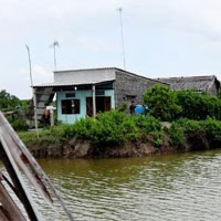 Những cái chết bí ẩn trong đầm tôm
