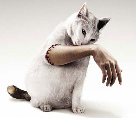 Cười vỡ bụng với tranh vui (24), Cười 24H, tranh vui, anh vui, anh dep, tranh dep, anh cuoi, tranh cuoi, tho vui, bao, hoi quan cuoi, cuoi 24h