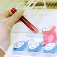 Nơi chữa các chứng bệnh máu “chờ chết”