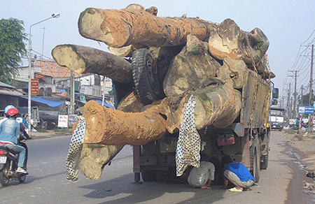 Những ảnh chỉ có ở Việt Nam (56), Tranh vui, Cười 24H, chi co o viet nam, tranh vui, anh vui, o viet nam, bao, hoi quan cuoi, cuoi 24h