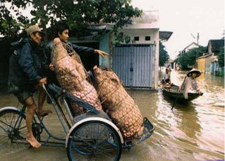 Những hình ảnh chỉ có ở Việt Nam (67), Cười 24H, tranh vui, chi co o viet nam, anh vui, tranh hai, anh hai, bao, cuoi 24h