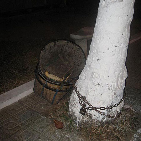 Những hình ảnh chỉ có ở Việt Nam (70), Tranh vui, Cười 24H, chi co o viet nam, tranh vui, tranh hai, anh vui, anh hai, bao, cuoi 24h