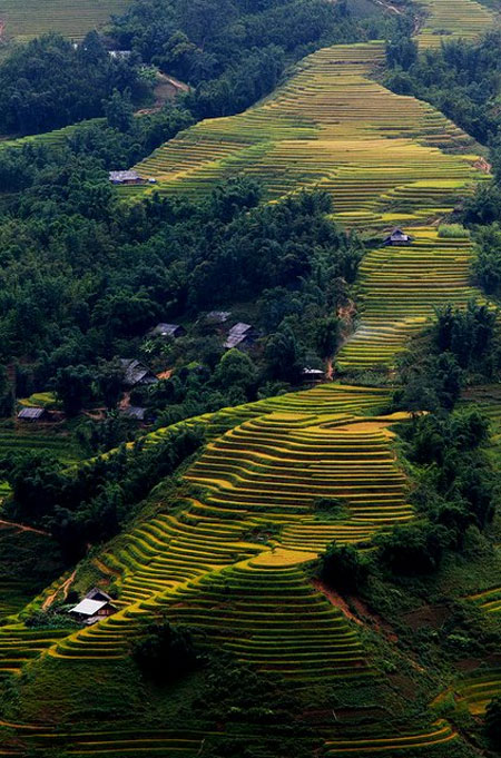 20 khoảnh khắc du lịch đẹp nhất Việt Nam - 10