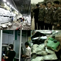 Nhật Bản: Tạo ra gan người từ tế bào gốc (Tổng hợp tin HOT 23/6)