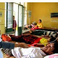 Hàng trăm người ngộ độc vì ăn món “cỏ lạp”