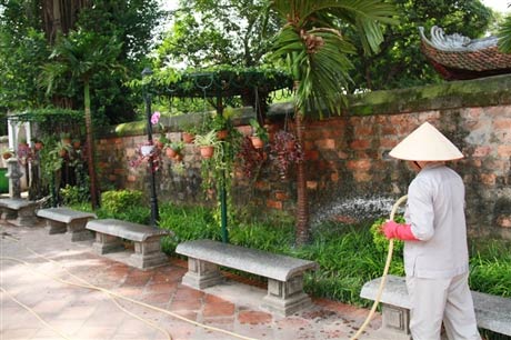 Sinh viên vào mùa 'trông rùa Văn Miếu', Giáo dục - du học, van mieu, cau may, si tu, thi sinh, sinh vien tinh nguyen, tuyen sinh 2012, dap an de thi dai hoc 2012, bao