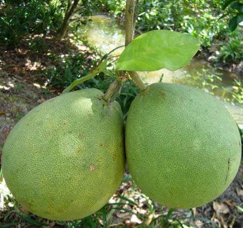 Ảnh chụp lén một em khỏa thân bên cửa sổ - 1