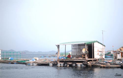 Về đảo Bình Ba hoang sơ tuyệt đẹp - 5