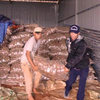 Phát hiện 26 tấn khoai tây TQ nhiễm độc
