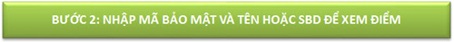 Các tỉnh công bố điểm thi vào lớp 10 - 5