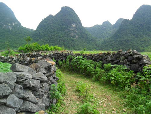 Độc đáo làng "đá” ở Cao Bằng - 4