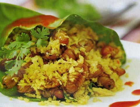 Món ngon từ nhộng - 1