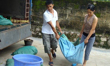 "Ăn ngủ" cùng 4000 con rắn độc, Tin tức trong ngày, tỷ phú,nuôi rắn độc,hổ phì,kinh tế,đống tiền,tỉ phú