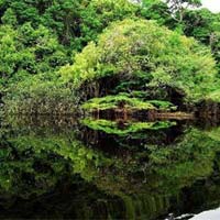 Thưởng ngoạn cảnh đẹp trên sông Amazon 
