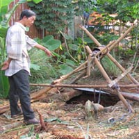trai ga - Tin tuc Hình ảnh Video Clip MỚI NHẤT trai ga
