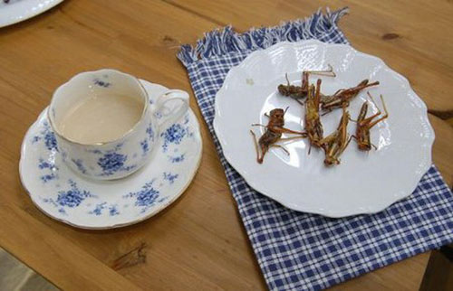 Ghê rợn với những món ăn 'sâu bọ', Phi thường - kỳ quặc, chuyen la, chuyen la the gioi, banh gato, con trung, blog, Shoichi Uchiyama, nha van Nhat Ban