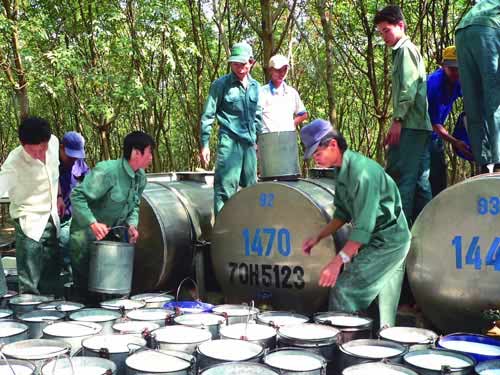 Thương lái TQ đổ xô mua thủy sản, cao su - 1