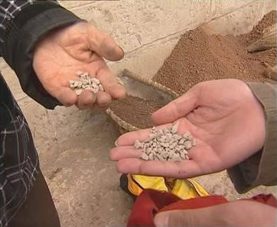 Những DỊ NHÂN...ăn tạp - 7