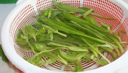 Vịt om sấu: Quen mà lạ - 6