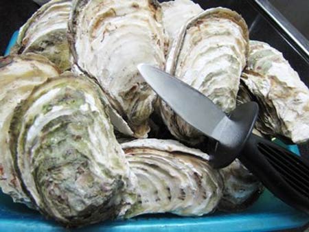 Tuần mới hứng khởi với hàu nướng mỡ hành - 1