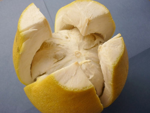 Nấu chè bưởi thật dễ dàng - 1