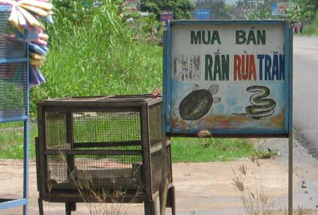 Ran+Ho+May+Chua Ran Ho May Chua http://www.24h.com.vn/tin-tuc-trong-ngay/ran-ho-chua ...