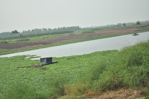 Đại tang 6 nữ sinh chết đuối khi hái hoa - 1