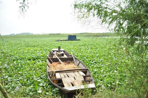 Đại tang 6 nữ sinh chết đuối khi hái hoa - 3