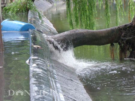 Đường ven hồ Gươm thành ao nước đen ngòm - 9