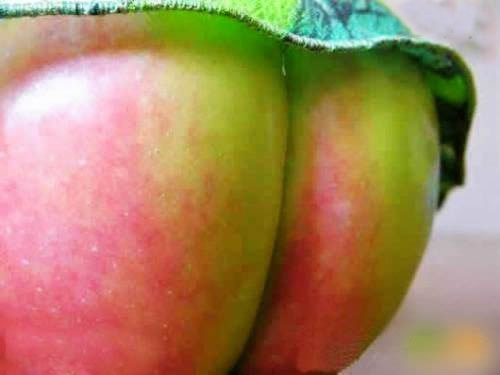 Mâm ngũ quả trẻ em - người lớn - 7