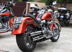 Ngắm dàn Harley “khủng” tại Hà Nội