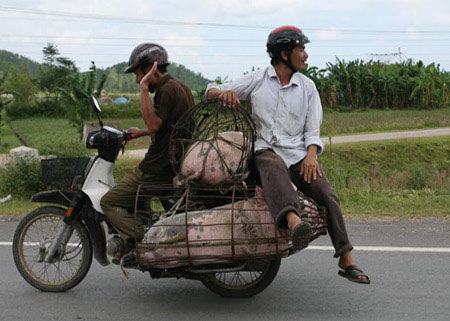 Những hình ảnh chỉ có ở Việt Nam (64), Cười 24H, tranh vui, chi co o viet nam, anh vui, tranh hai, anh hai, bao, cuoi 24h