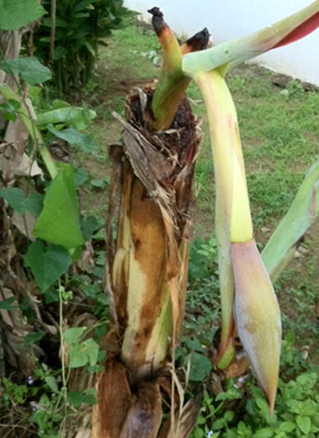 Những hình ảnh chỉ có ở Việt Nam (74), Cười 24H, chi co o viet nam, tranh vui, anh vui, tranh hai, anh hai, bao, cuoi 24h