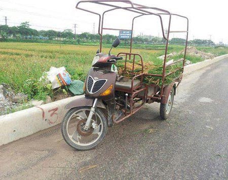 Những ảnh chỉ có ở Việt Nam (82), Tranh vui, Cười 24H, chi co o viet nam, tranh vui, anh vui, tranh hai, anh hai, bao, cuoi 24h
