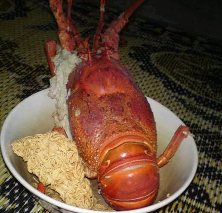 Những ảnh chỉ có ở Việt Nam (84), Cười 24H, chi co o viet nam, tranh vui, anh vui, tranh hai, anh hai, bao, cuoi 24h