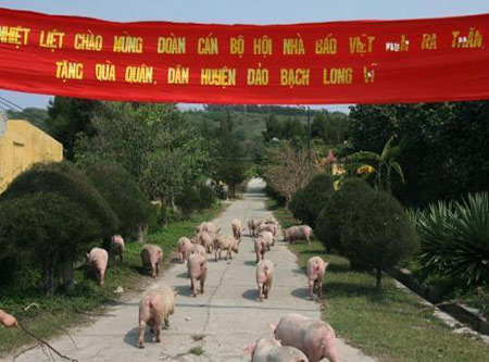 Những ảnh chỉ có ở Việt Nam (85), Cười 24H, chi co o viet nam, tranh vui, anh vui, tranh hai, anh hai, bao, cuoi 24h