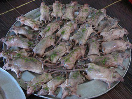 Những ảnh chỉ có ở Việt Nam (79), Cười 24H, chi co o viet nam, tranh vui, anh vui, tranh hai, anh hai, bao, cuoi 24h