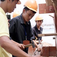 Đại học chạy đua tuyển trung cấp